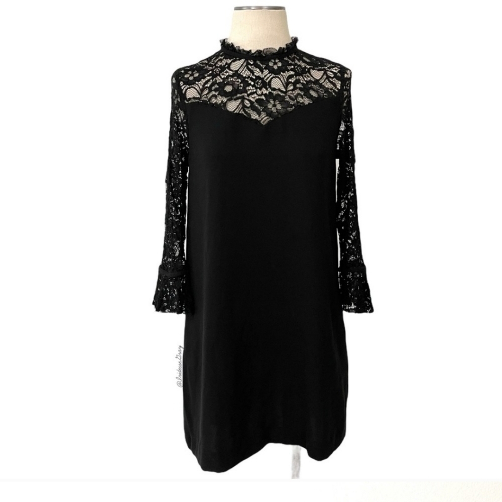 ZARA Collection Black Dress - Picture 9 of 16